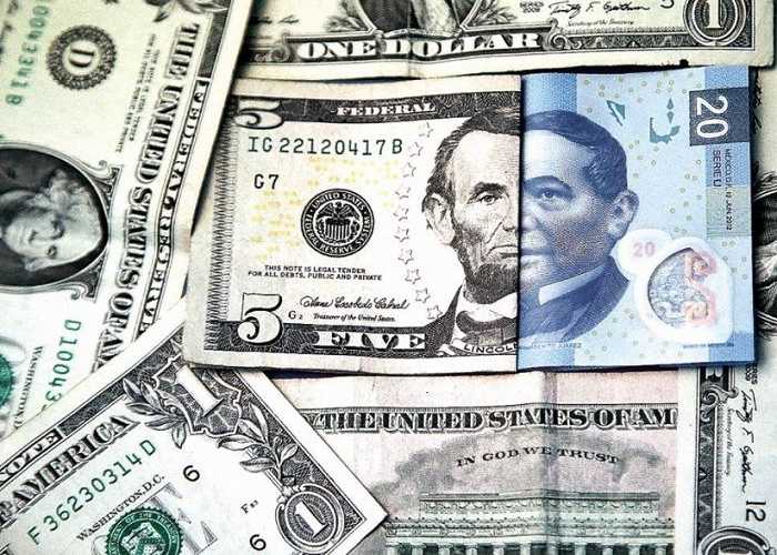 pesos y dólares mexicanos juntos - Factoro